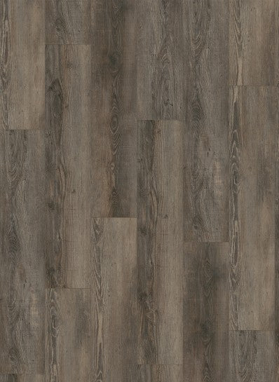 Olympia Pine Brown